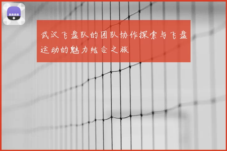 武汉飞盘队的团队协作探索与飞盘运动的魅力结合之旅
