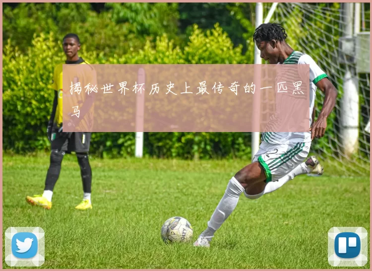 揭秘世界杯历史上最传奇的一匹黑马