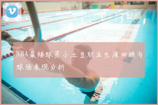NBA最矮球员小土豆职业生涯回顾与球场表现分析