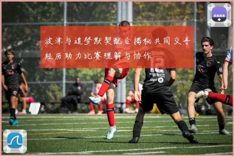 波津与追梦默契配合揭秘共同交手经历助力比赛理解与协作