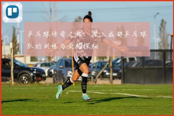 乒乓球传奇之旅：深入成都乒乓球队的训练与荣耀探秘