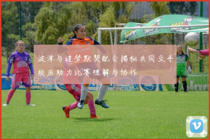波津与追梦默契配合揭秘共同交手经历助力比赛理解与协作