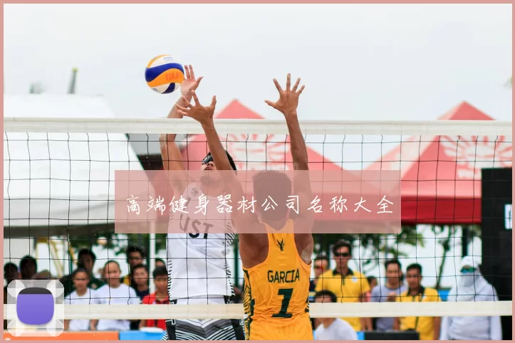 高端健身器材公司名称大全