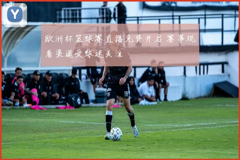 欧洲杯篮球赛直播免费开启 赛事观看渠道受球迷关注