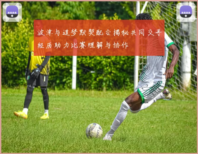 波津与追梦默契配合揭秘共同交手经历助力比赛理解与协作
