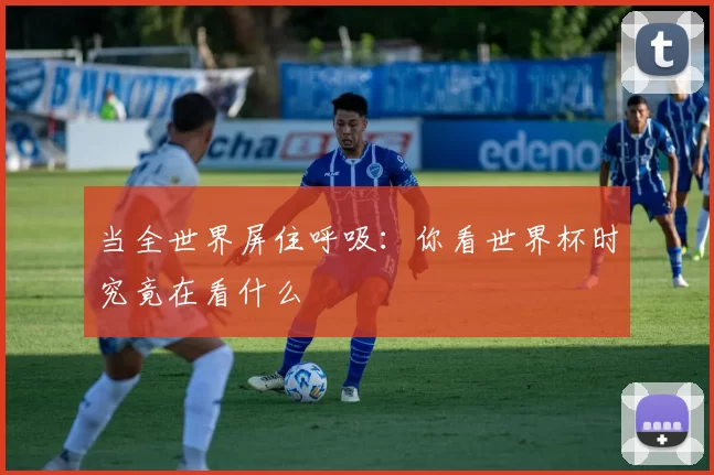 当全世界屏住呼吸：你看世界杯时究竟在看什么