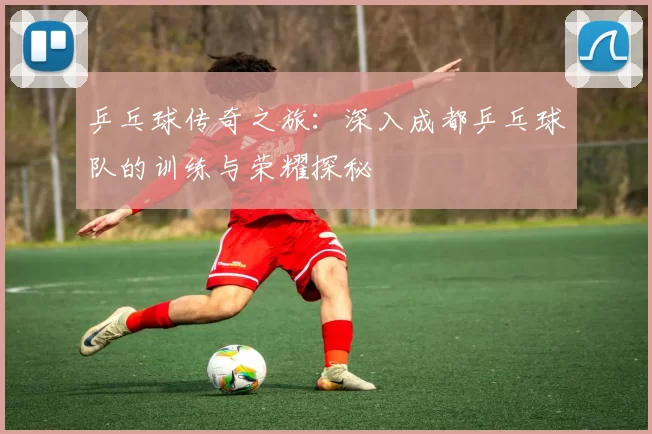 乒乓球传奇之旅：深入成都乒乓球队的训练与荣耀探秘