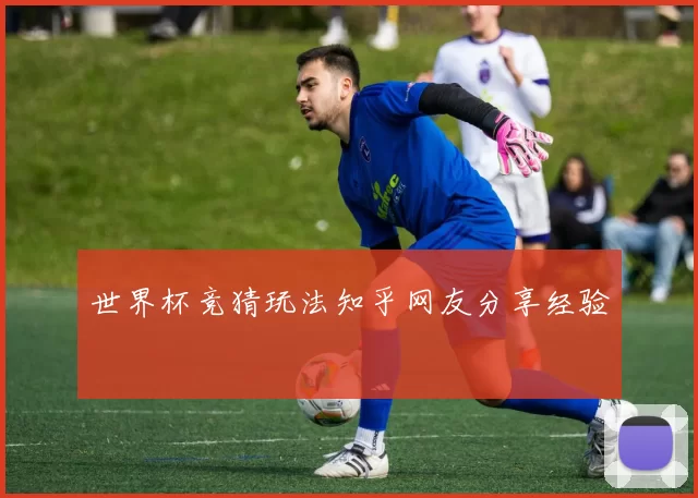 世界杯竞猜玩法知乎网友分享经验
