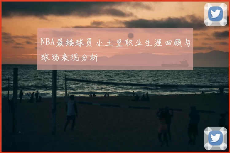 NBA最矮球员小土豆职业生涯回顾与球场表现分析