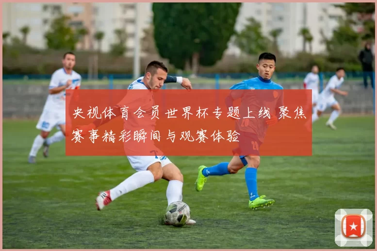 央视体育会员世界杯专题上线 聚焦赛事精彩瞬间与观赛体验