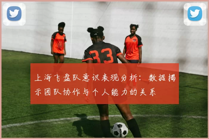 上海飞盘队意识表现分析：数据揭示团队协作与个人能力的关系