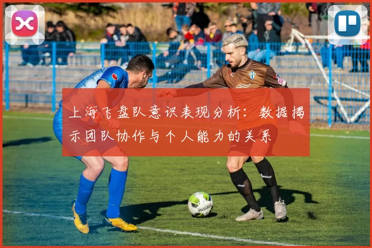 上海飞盘队意识表现分析：数据揭示团队协作与个人能力的关系